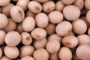 Argentina exportará semen bovino a Kenia