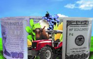 La inversión nacional en agricultura se redujo un 65% interanual
