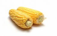 Trazabilidad y contratos, las claves del  negocio de los maíces especiales