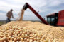 Rodríguez anunció la continuidad del programa de mejoramiento de la calidad de trigo