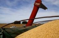 La comercialización de granos creció un 59% y ocupará a 35 mil trabajadores