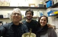 Yerba mate se consolida  la como preventiva de Parkinson
