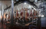 EL PRIMER EMBARQUE DE CARNE HACIA  EEUU ES UN GRAN LOGRO PÚBLICO-PRIVADO