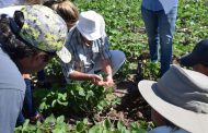 Un trabajo en red que eleva la vara de la agricultura