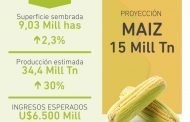 Prevén récord de cosecha gruesa con más de 9 M de has y se anticipan más de 15 millones de TN de Maíz