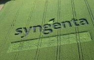 Syngenta y The Nature Conservancy se unen para crear innovación para la naturaleza
