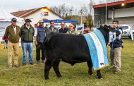 La Nacional Angus de otoño tiene tricampeón