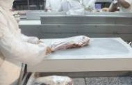 Entra en vigencia el nuevo certificado de carne bovina enfriada y con hueso