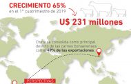 Crecieron un 65% las exportaciones  de carne a China