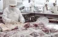 Se habilitaron 19 plantas frigoríficas para exportar carnes
