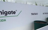 Protección de cultivos: Corteva presentó en Expoagro un nuevo herbicida para el control eficaz de malezas resistentes en soja