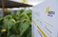 El semillero oficial de Expoagro invita a vivir la #ExperienciaNidera