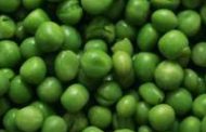 Las arvejas argentinas llegarán a China