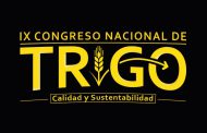 El IX Congreso Nacional de Trigo se traslada a 2021