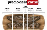 Carne: el precio desde el campo al mostrador