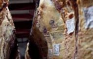 Argentina reabrió el mercado de Malasia para carne y menudencias bovinas