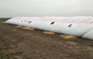 Silo bolsa: cómo proteger al gran aliado del productor agropecuario