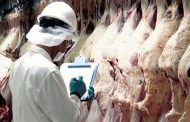Exportaciones de Carne Vacuna