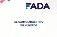 Se conoció el Índice FADA de Septiembre: 62%