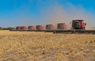 La potencia de Case IH, firme en los campos argentinos