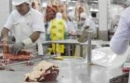 Las exportaciones de carne caprina aumentaron 99%