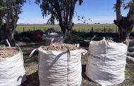 Se detectó a 8 trabajadores rurales en presunta situación de explotación laboral en el cultivo de papa en Gonzales Chaves