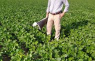 Aplicaciones oportunas para que los cultivos no sufran una pandemia