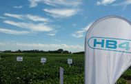 Bioceres suma herramientas de inteligencia artificial para el desarrollo de variedades de soja HB4®