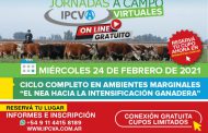 Se viene la primera jornada virtual del IPCVA en Reconquista
