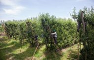 Amplían la cobertura de la Prestación por Desempleo a más trabajadores rurales