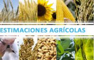 Agricultura lanzó la Estimación de campaña de la cosecha gruesa 2020/21