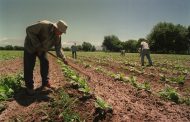 Se prorrogó el Plan de Facilidades de Pago para empleadores rurales hasta el 30 de junio
