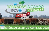 Cuenta regresiva para la nueva jornada del IPCVA