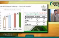 Nutrición de cultivos para achicar brechas de rendimiento