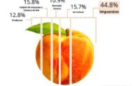 La pelusa del durazno: los impuestos explican el 44.8% de su precio de venta al consumidor