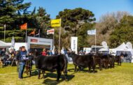 La Exposición Nacional de Primavera se realizará en octubre en Tandil