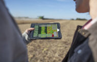 La adopción de FieldView se sextuplicó en hectáreas desde marzo 2020.