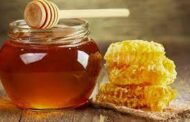 Miel bonaerense: Destacan el potencial de la producción apícola en la provincia