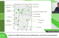 Soja en el NEA: brechas de rendimiento y elección de genotipos