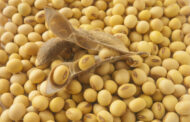 Potenciar la soja con toda la tecnología