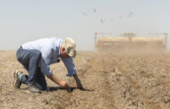 LA AGRICULTURA ARGENTINA, CADA VEZ MÁS PRODUCTIVA Y, TAMBIÉN, MÁS SUSTENTABLE