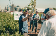 La Expo Stine convocó a más de 500 productores que vieron el maíz de los 17.000 kilos