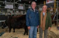 Llegó a la Argentina Jerry Connealy, presidente de la American Angus Association