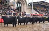 Programa de actividades Asociación Argentina de Angus