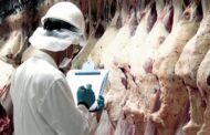 Exportaciones de Carne Vacuna