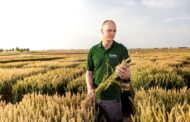 BASF muestra sus estrategias de manejo para trigo y cebada ante el comienzo de la campaña fina