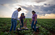El creciente rol de las mujeres en el agro