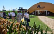 Nidera Semillas en Expoagro: genética + IA para cada lote