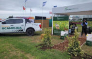 Chacraservicios muestra en Expoagro el potencial de Camelina
