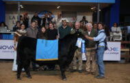 El Mejor Ternero Negro fue para Santa Cecilia y  el Colorado para La Pastoriza
